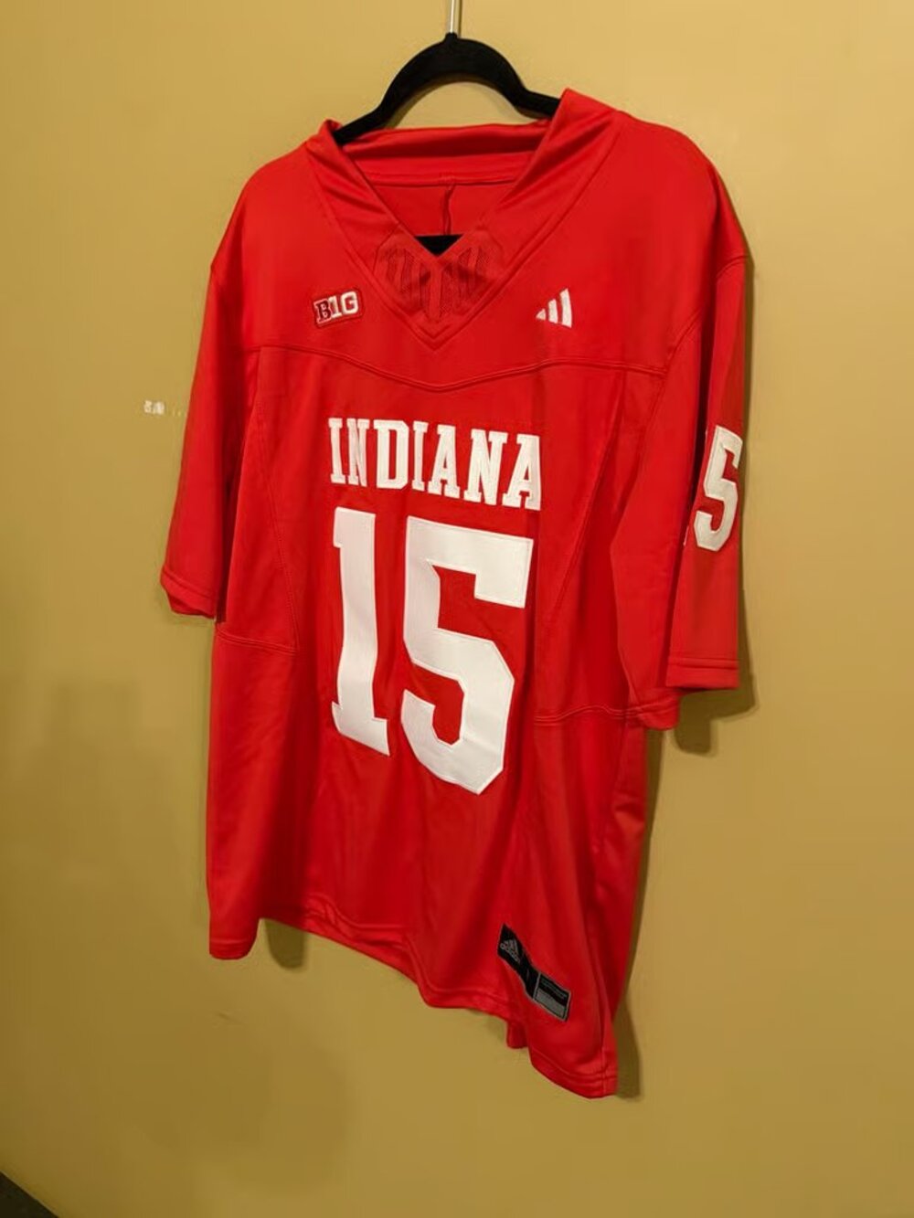 Fernando Mendoza Crimson Jersey Stitched Red Vapor